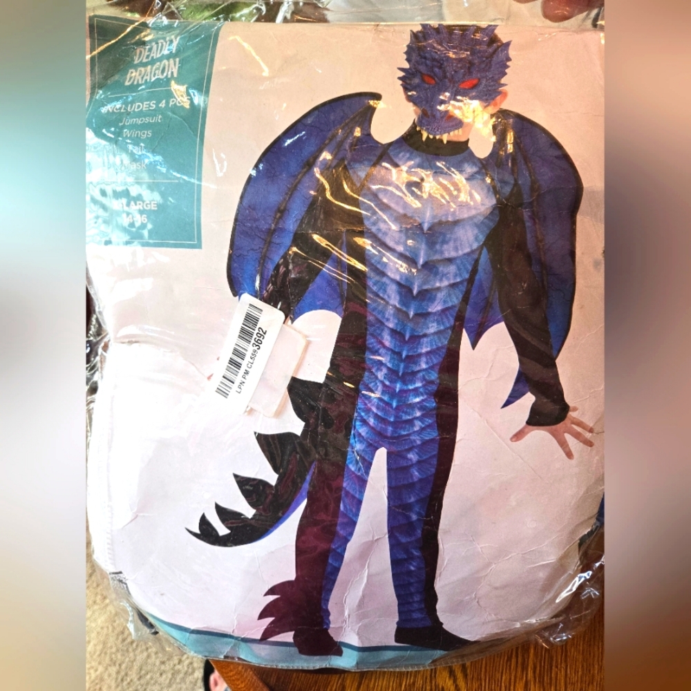 Deadly Dragon Costume